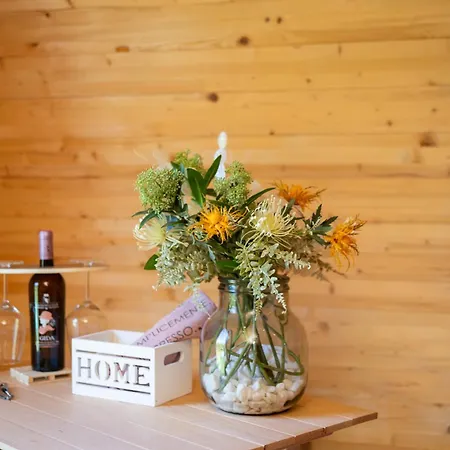 Dormire In Botte - Antiche Vigne Pironti 住宿加早餐酒店