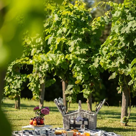 Dormire In Botte - Antiche Vigne Pironti Nocleg ze śniadaniem 3*