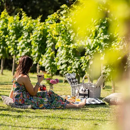 Dormire In Botte - Antiche Vigne Pironti 住宿加早餐酒店 3*