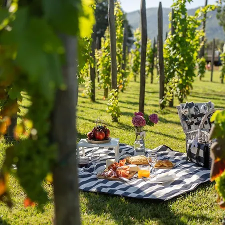 Dormire In Botte - Antiche Vigne Pironti 3* Marzi