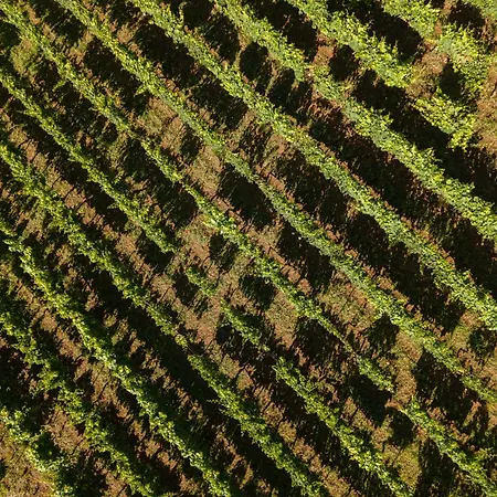 Dormire In Botte - Antiche Vigne Pironti