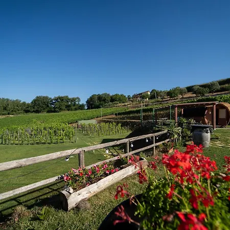 Dormire In Botte - Antiche Vigne Pironti 住宿加早餐酒店 Marzi