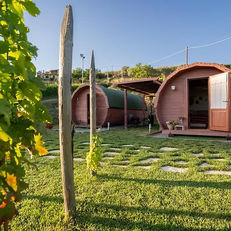 Dormire In Botte - Antiche Vigne Pironti 3*