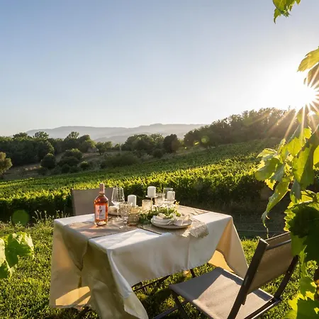 Dormire In Botte - Antiche Vigne Pironti 3*