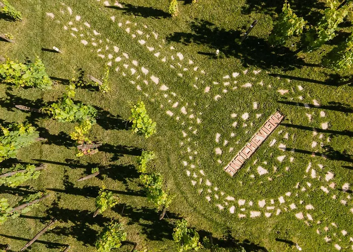 Dormire In Botte - Antiche Vigne Pironti Panzió