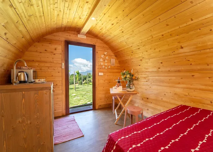 Dormire In Botte - Antiche Vigne Pironti Panzió