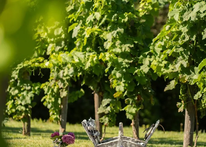 Dormire In Botte - Antiche Vigne Pironti Panzió 3*