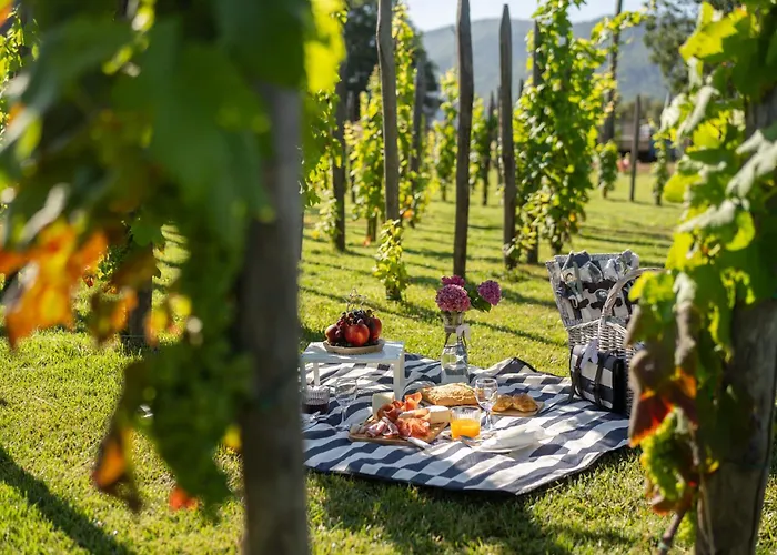 Dormire In Botte - Antiche Vigne Pironti 3* Marzi