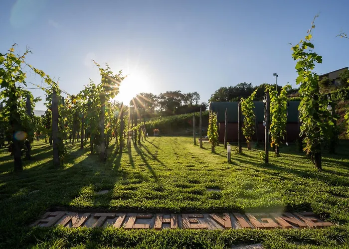 Dormire In Botte - Antiche Vigne Pironti 3*