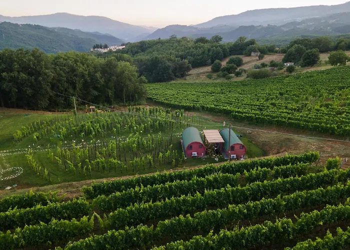 Dormire In Botte - Antiche Vigne Pironti Panzió